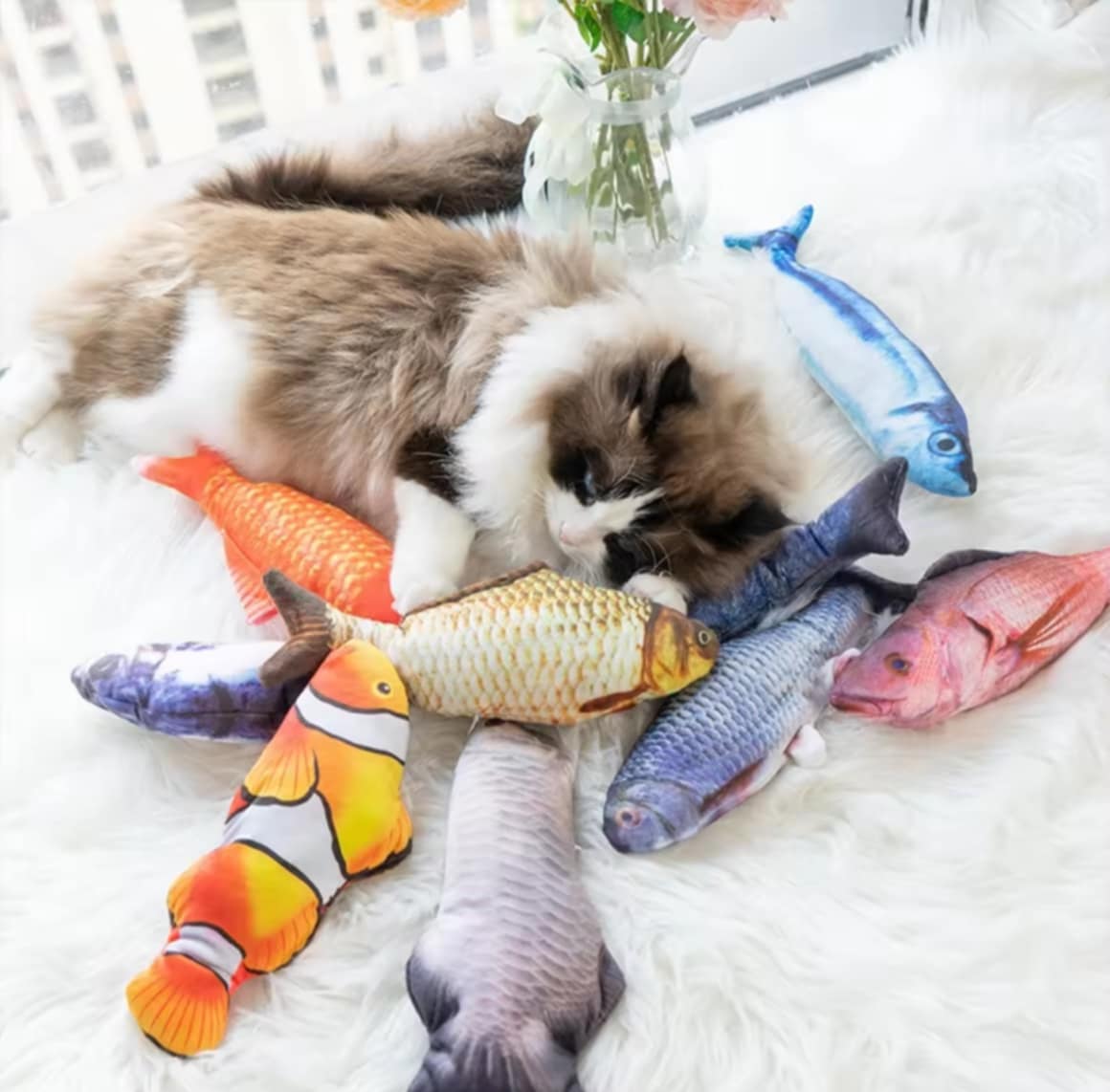 ປາດູກດິກ ສາມາດເຄື່ອນໄຫວໄດ້ ປາເຕັນ ຊາດ​ແບັດ ແມວຕະລົກ ​ຂອງຫຼິ້ນກັບເດັກ ປານ້ອຍນ່າຮັກ ດູກດິກ ສາມາດເຄື່ອນໄຫວໄດ້.