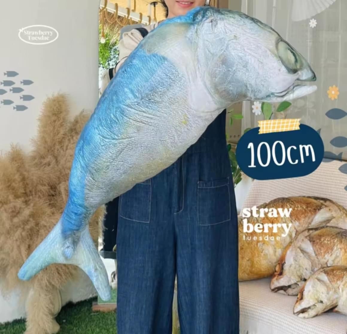 🐟 ຕຸກຕາປາທູຫນື້ງ , ປາທູເຫມືອນຈິງ,ເປັນຂອງຫລິ້ນແມວ  ຫລື​​ໄວ້​ກອດນອນ